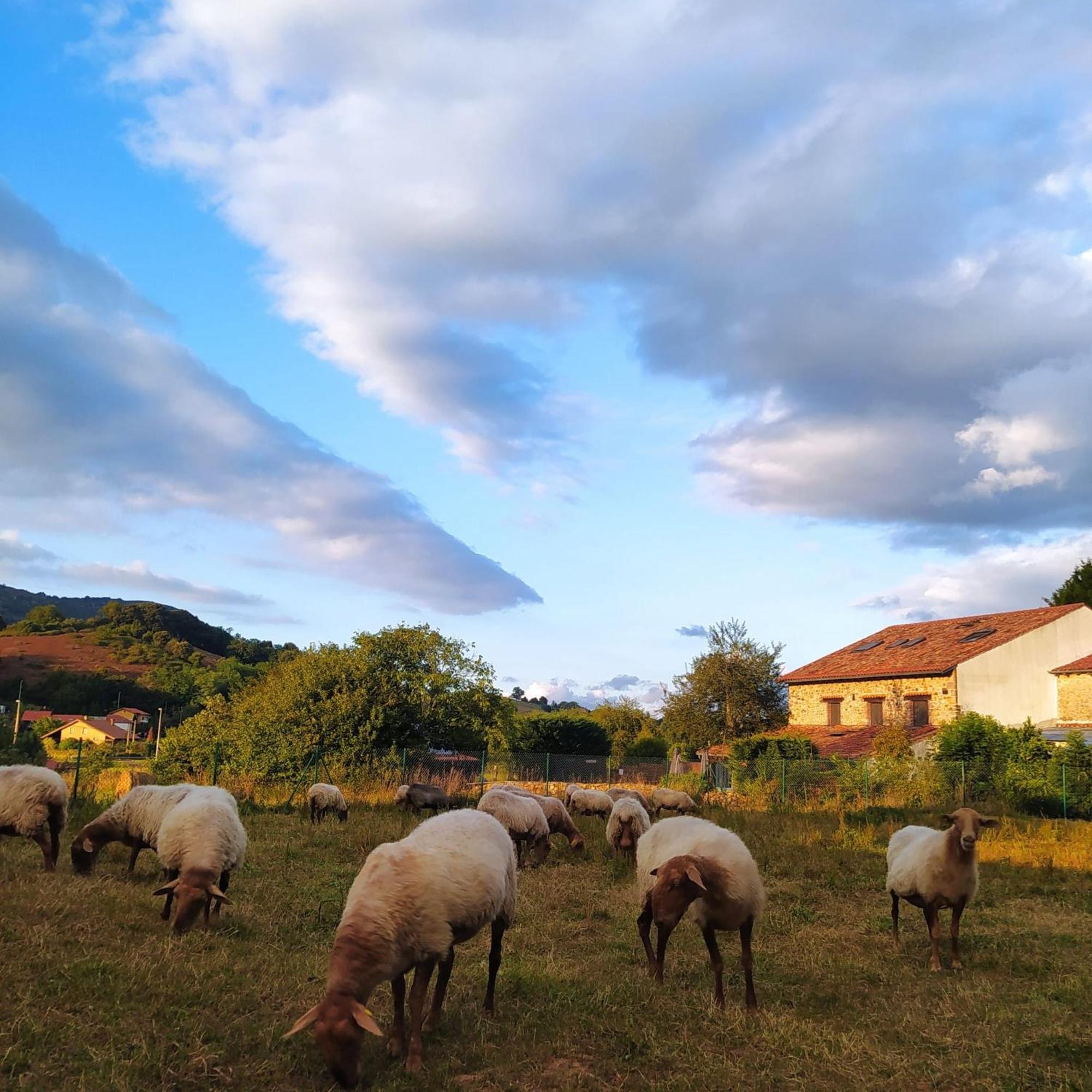 Posada La Corralada Pámanes Kültér fotó